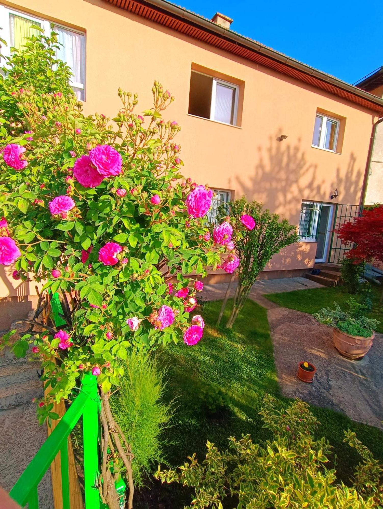 Garden Free Parking Apartment SJJ Exterior foto