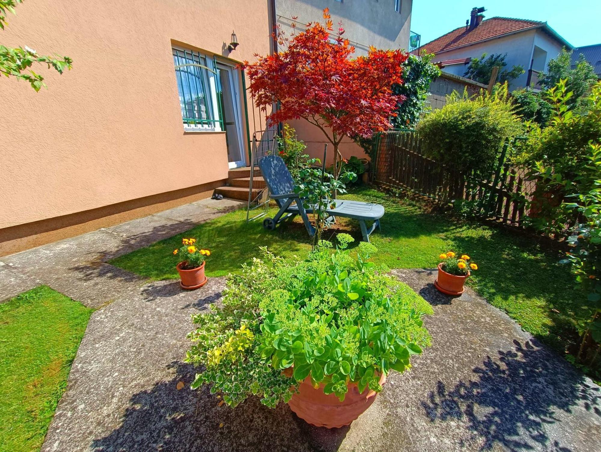 Garden Free Parking Apartment SJJ Cameră foto
