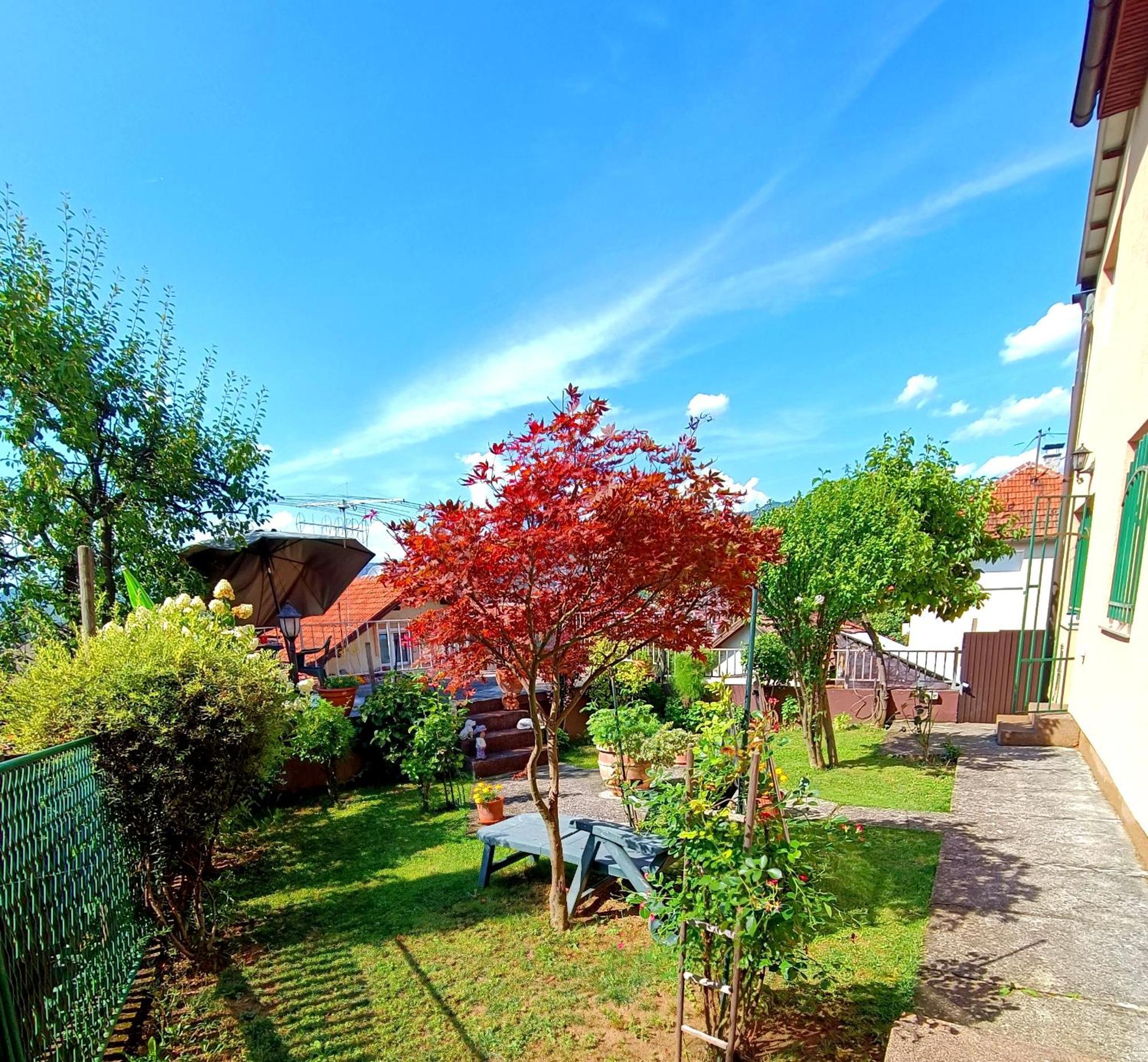 Garden Free Parking Apartment SJJ Cameră foto